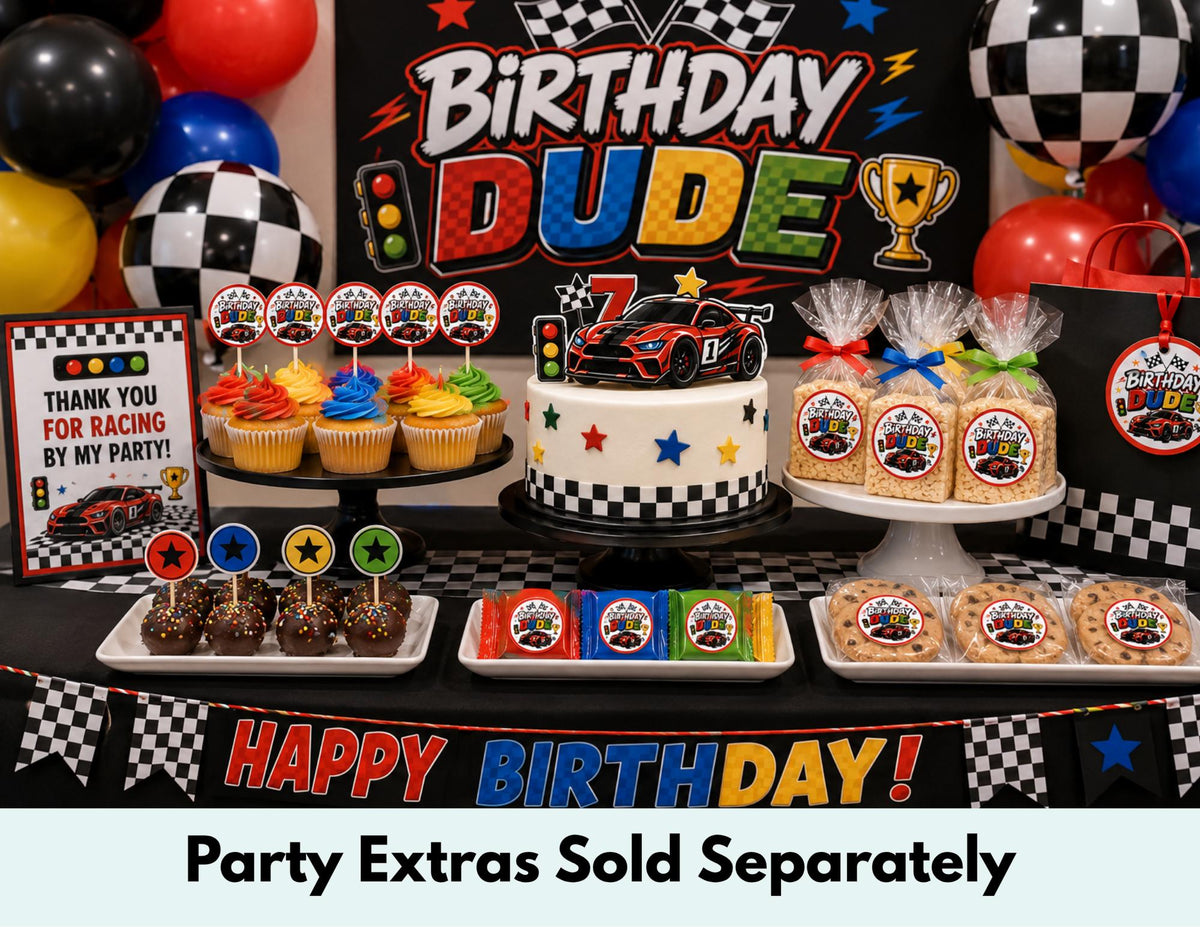 Race Car Birthday Shirt, Birthday Dude Shirt, Racing Birthday Boy Shirt, Checkered Flag Birthday Tee, Race Car Party Outfit
